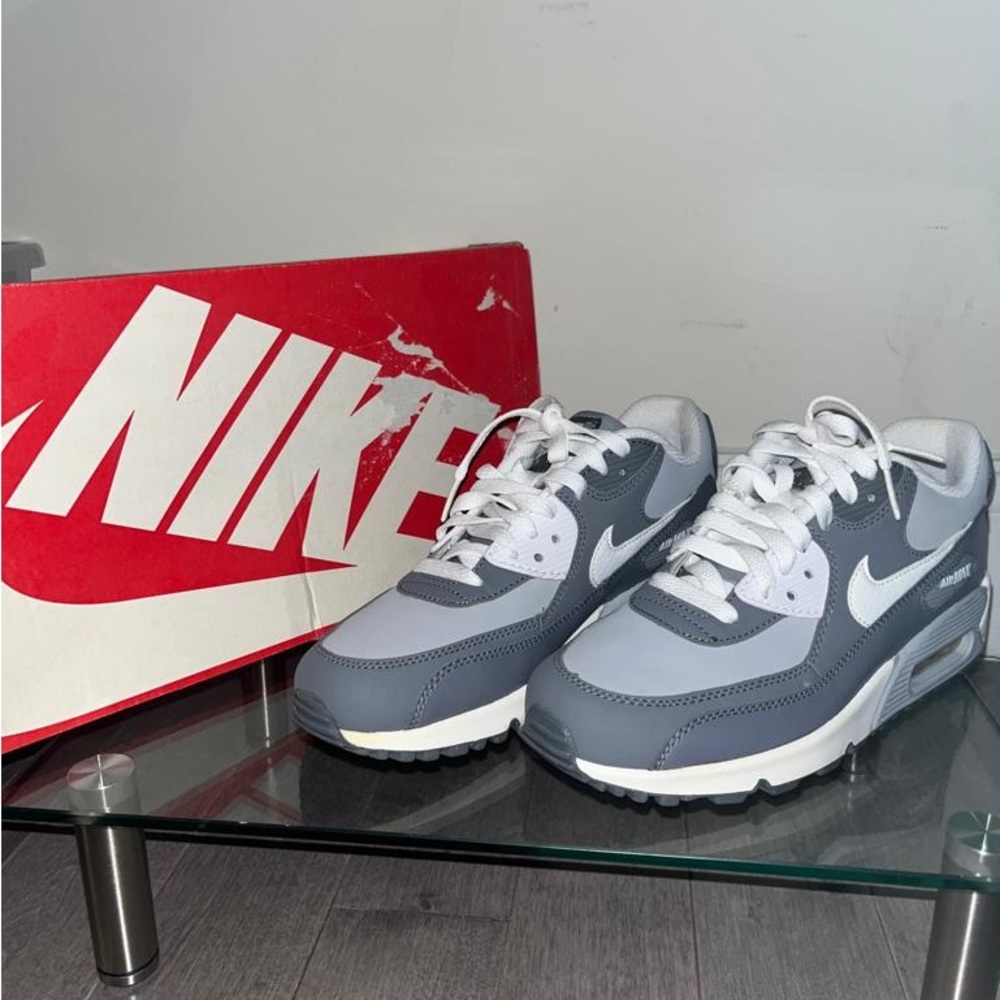 Nike air max 90